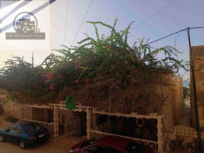 شقه ميكا الكبيره للايجار اليومي صف اول بحر شط ميكا درويش شهر العسل البيطاش العجمي الاسكندريه