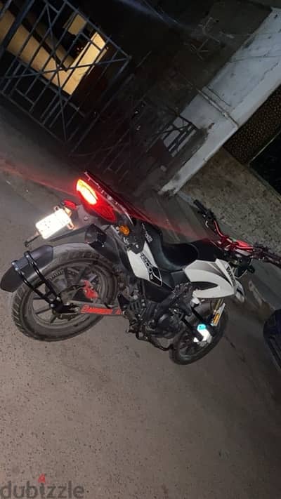 benelli vlx 2023
