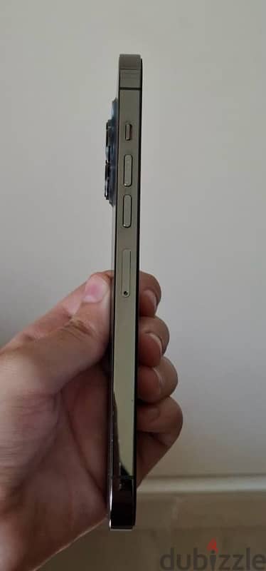 iphone 13 pro max 1
