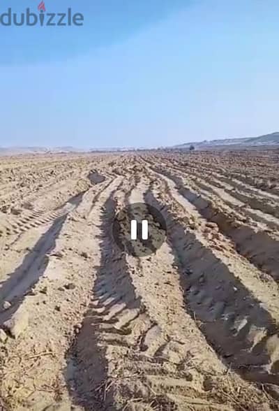 ارض زراعية للايجار سمالوط المنيا