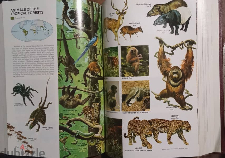 The WORLD BOOK Encyclopedia 3