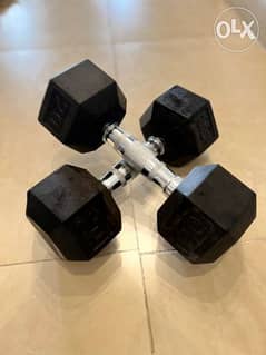 20 LBS Hex Dumbbells New Sports Equipment 186737074