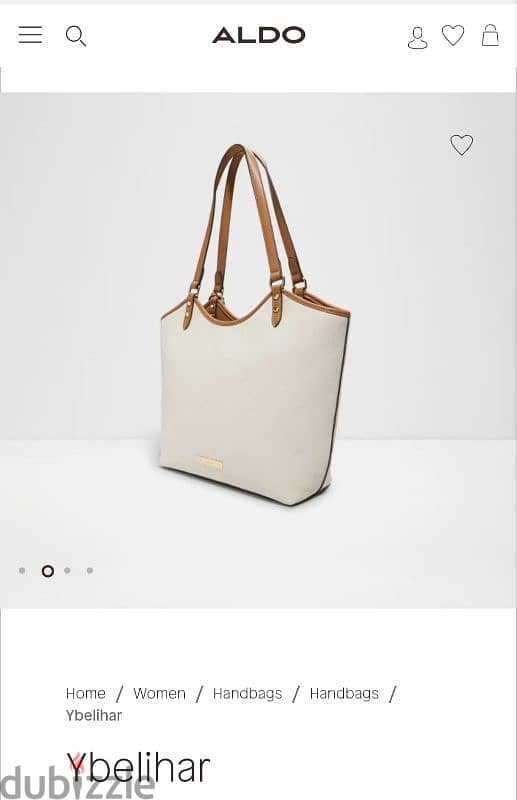 Aldo bag 4