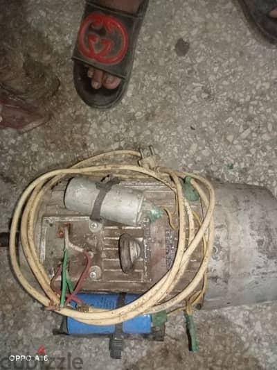 الخصوص القليوبيه