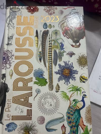 Larousse dictionnaire