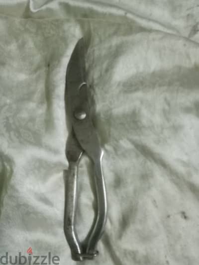 مقص شجره صغير