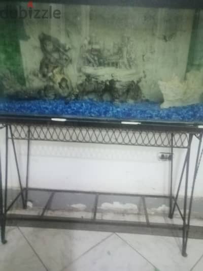 حوض سمك بديكور بحرى