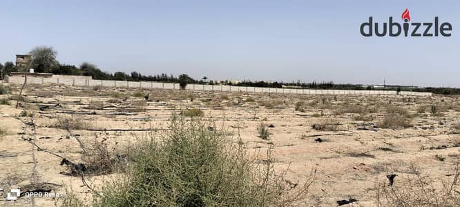 ارض 12000 للبيع بجوار مزارع دينا الكيلو 83