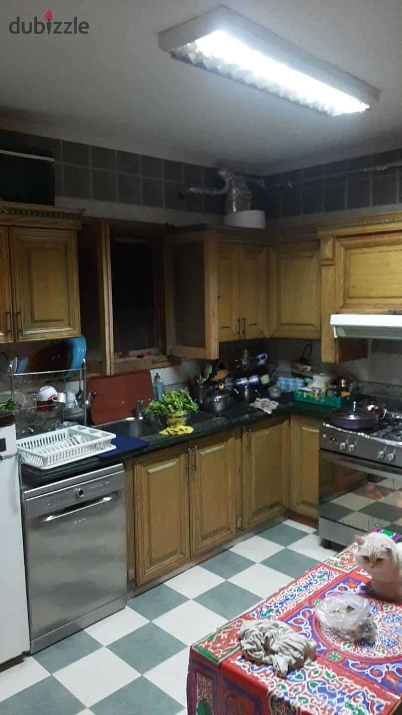 4 Bedrooms 230 sq.M Apartment for sale 6,200,000 EGP in زهراء المعادى، القاهرة