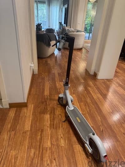 Ninebot segway electric scooter G30 LP