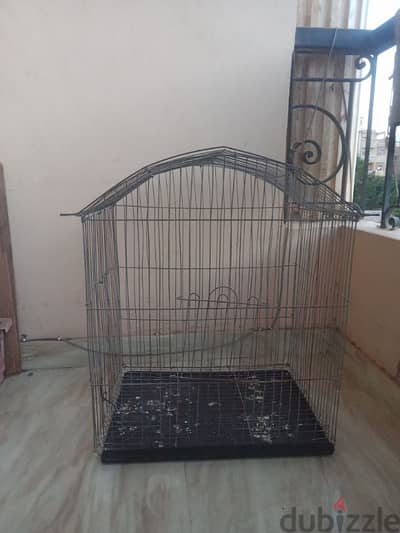 الجيزه الشيخ زايد الحي العاشر المجاوره الاولى عماره 4