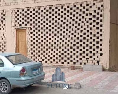 ش عبد المنعم رياض