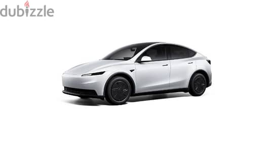 Tesla Model Y standard RWD  Entry-level model