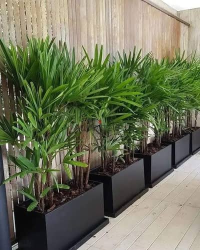 تقفيلة احواض اسود  بزجاج سيكوريت