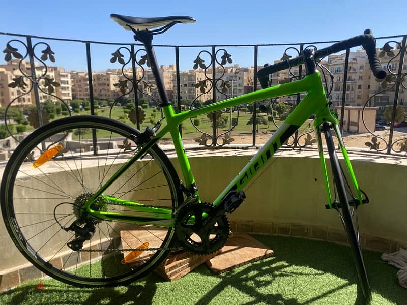 Giant Contend 1 1