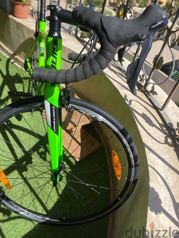 Giant Contend 1 2