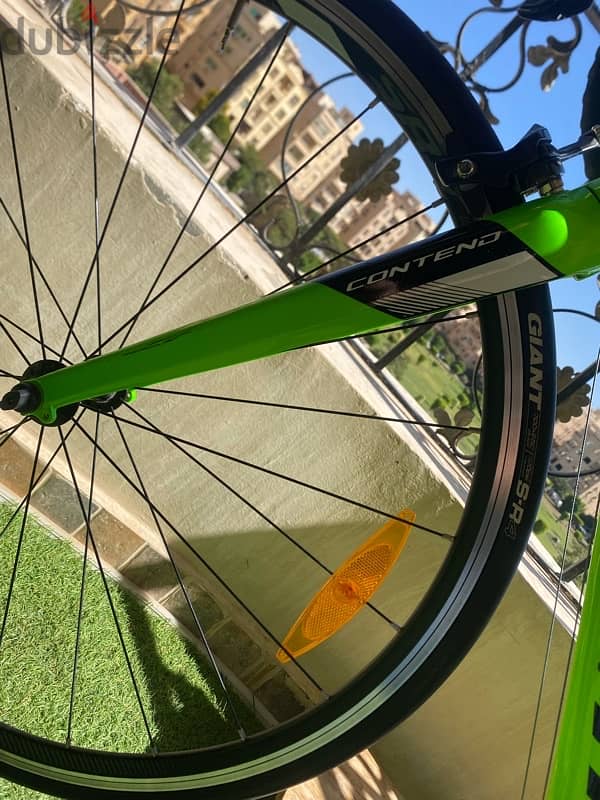 Giant Contend 1 4