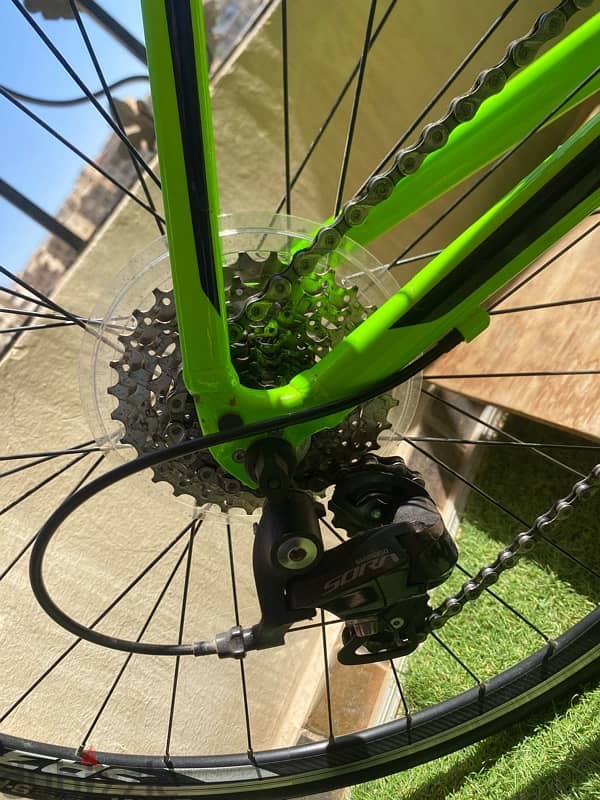 Giant Contend 1 6