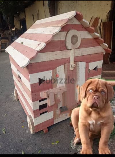 dog's house