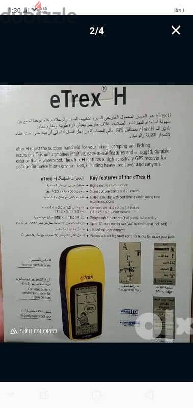 الاسكندرية الازاريطة