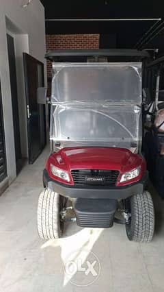 City Cart Brand USA Number One Of Golf Car 0