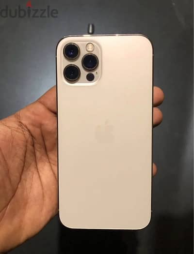 12Pro