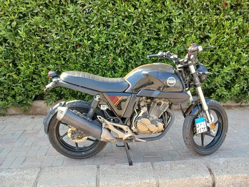 v max