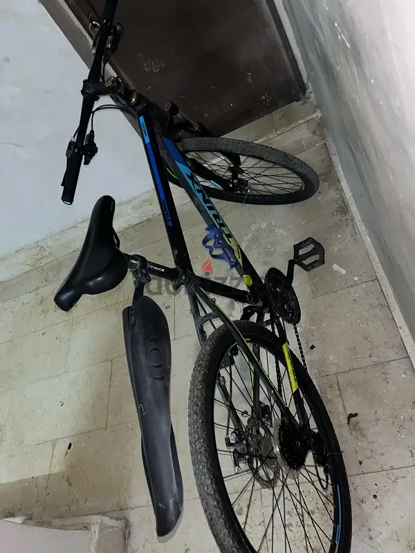 trinx model 2021