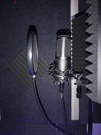 مايك AkG P120