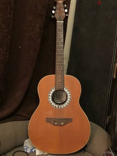 italian 70s acoustic Melody guitars