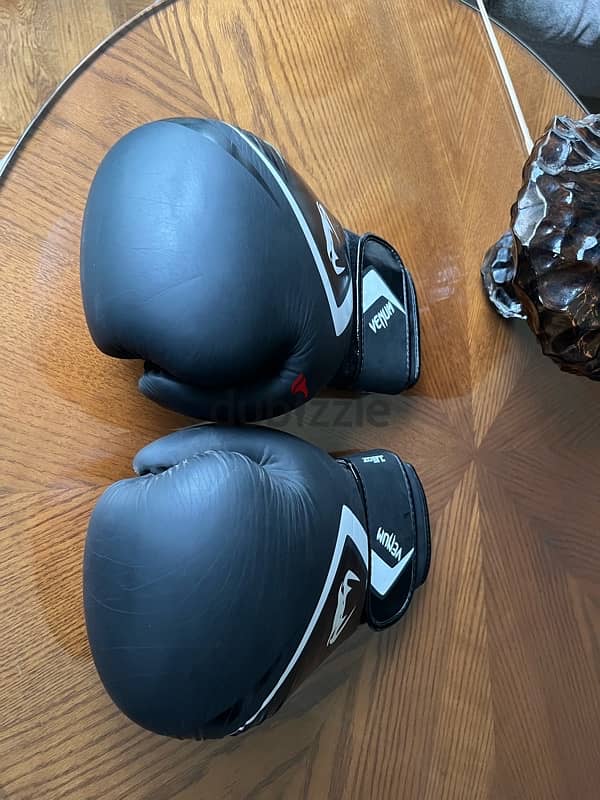 Venum Boxing Gloves 2