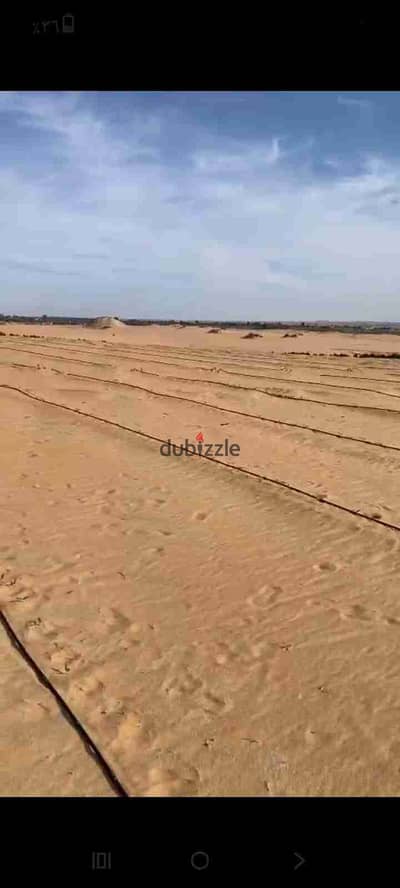 For sale 300 acres on the Western Desert Road