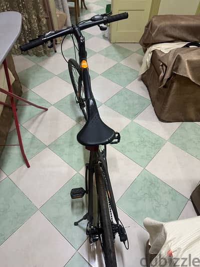 trinx free 2 hybrid