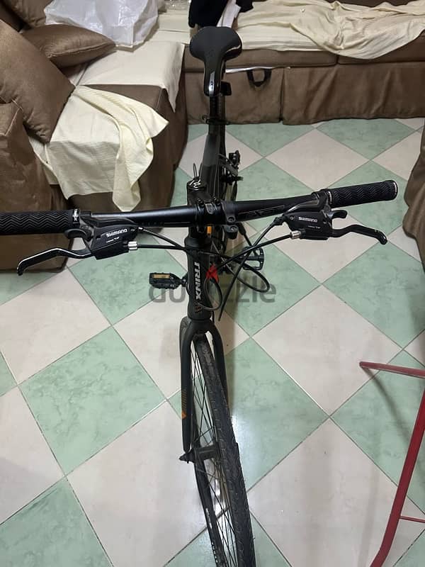 trinx free 2 hybrid 2