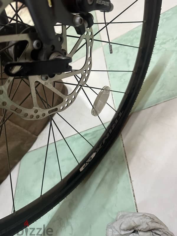 trinx free 2 hybrid 7