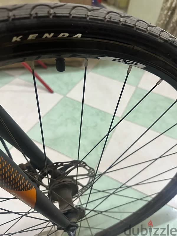trinx free 2 hybrid 8
