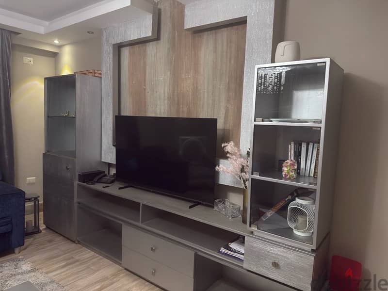 tv unit 1
