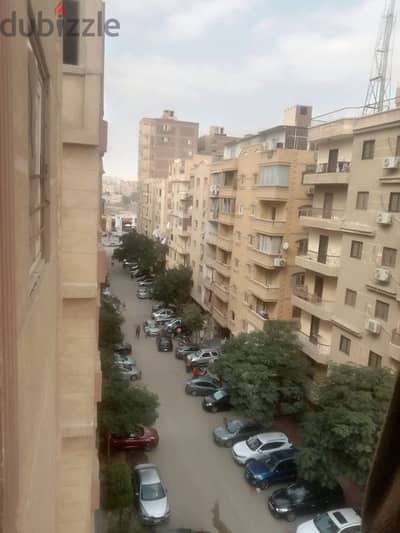 زهراء المعادي