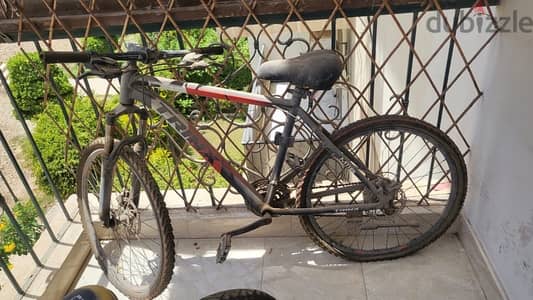 trinx