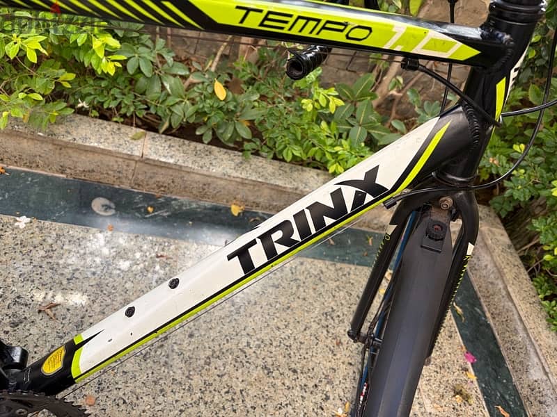 Trinx  Tempo 1.0 7