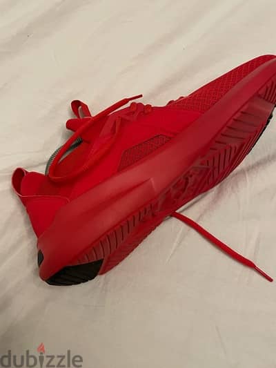 حذاء رياضي جديد بوما puma
