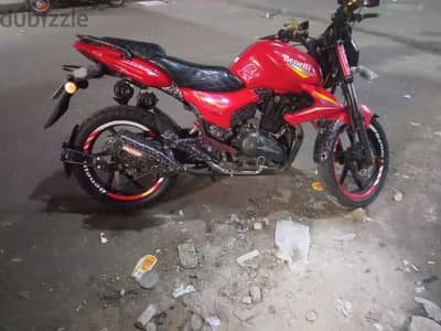 بنيلي vlr 2022
