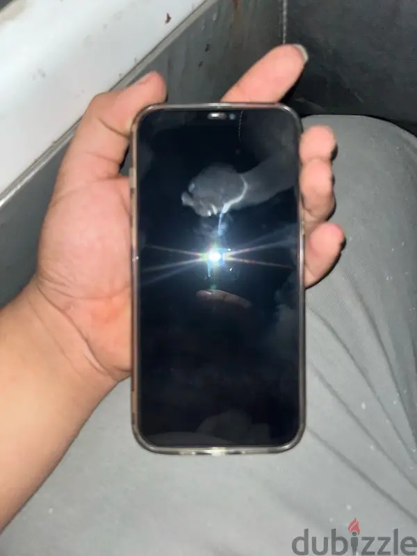 iPhone 12 Pro Max65053847984769123