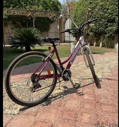 للبيع عجله bianchi ايطالي  مقاس ٢٦ سرعه ٢١ استعمال بسيط