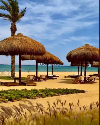 Pool View Chalet in - Kai Misr Italia