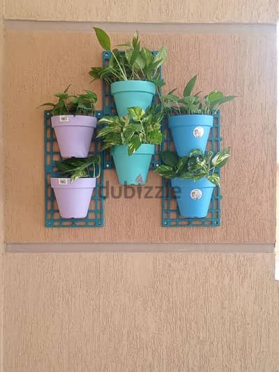 مستلزمات زراعة داخلية