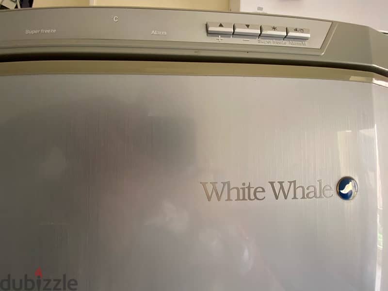 Deep freezer 5