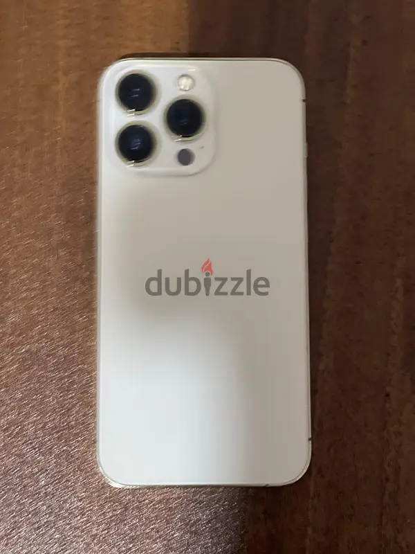 iPhone 13 Pro