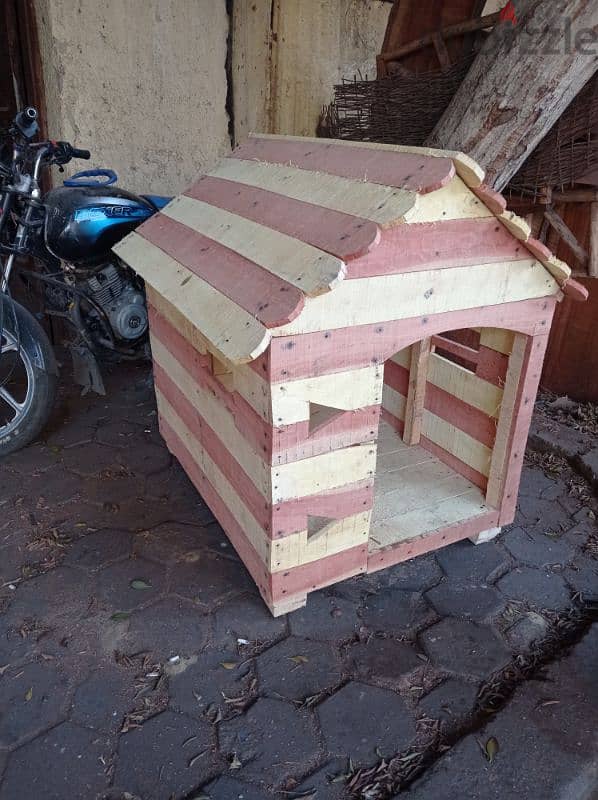 Dog house 1