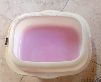 طبق متوسط للقطط وأولادها للنوم للتواصل واتساب